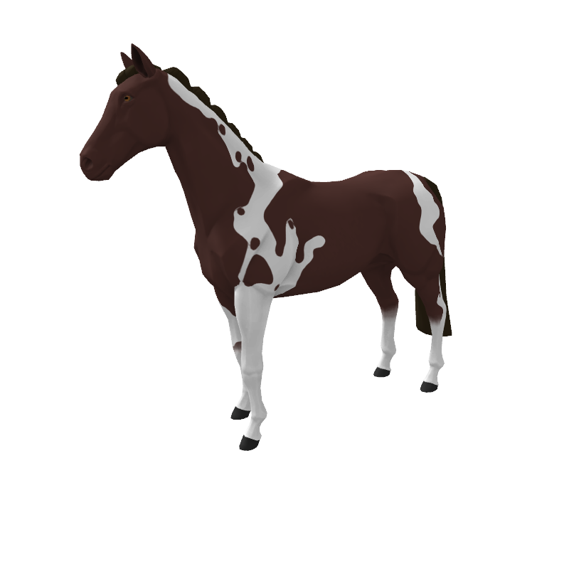 And A Dream Come True