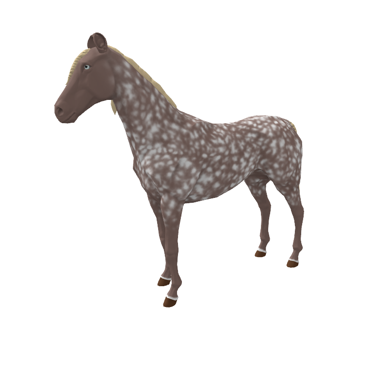 Very Bad Appaloosa