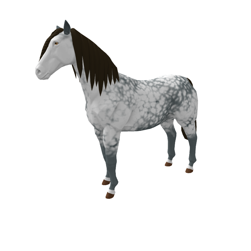 Appaloosa Power