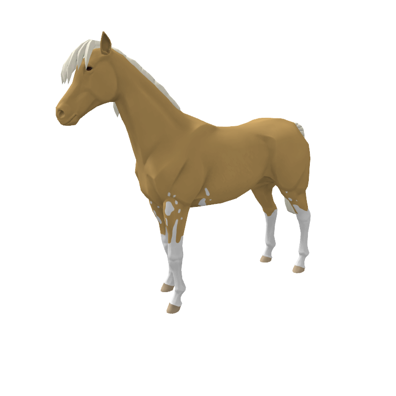 Lacertoriom