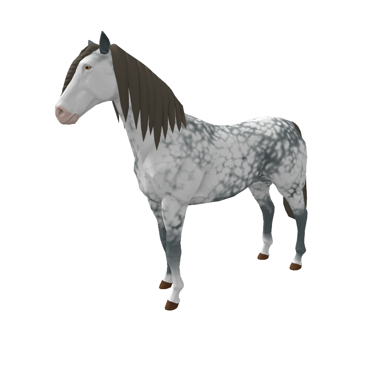 Appaloosa Prince