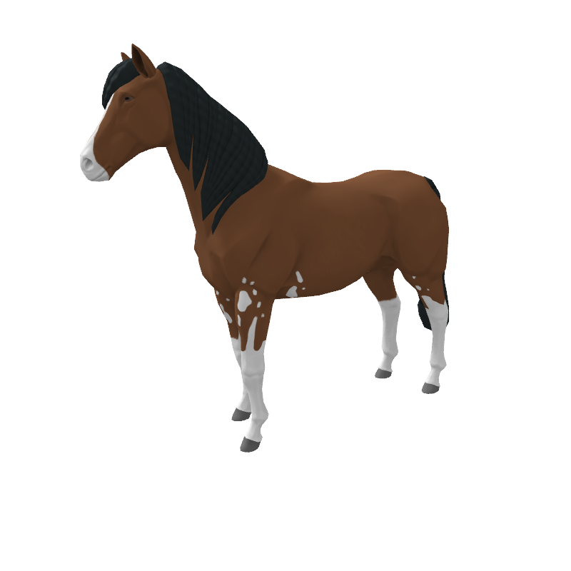 Bura