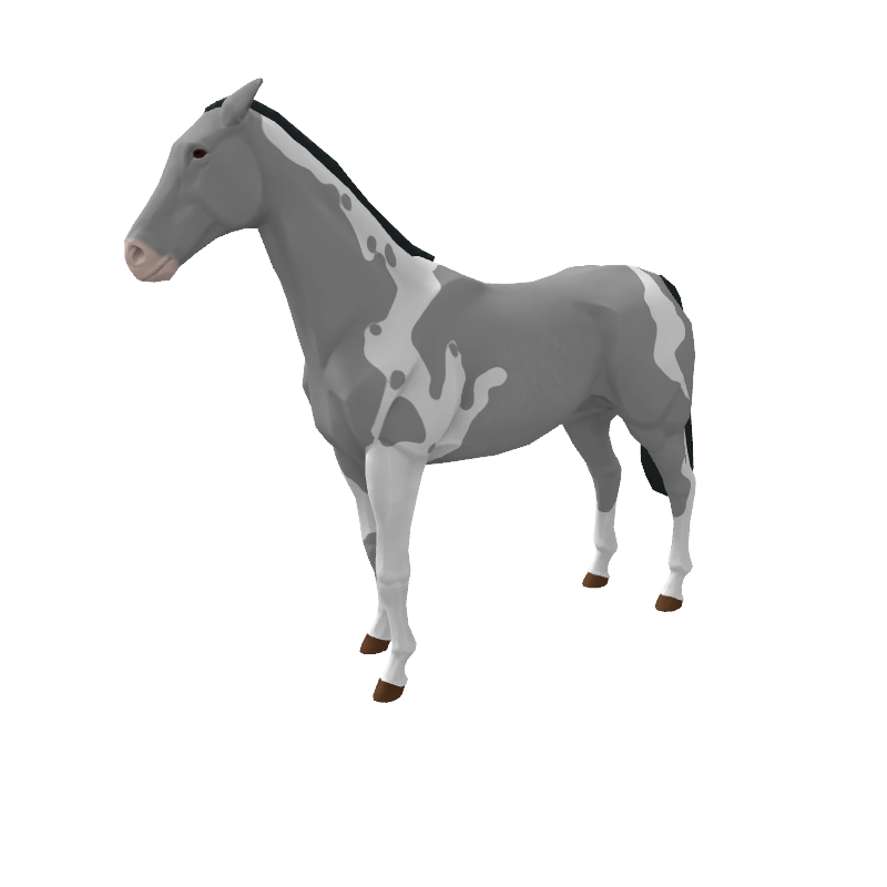 Gray Tempest