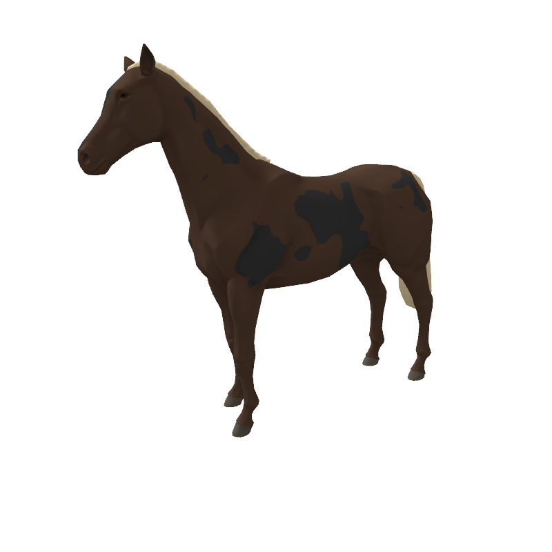 Shadow Contender