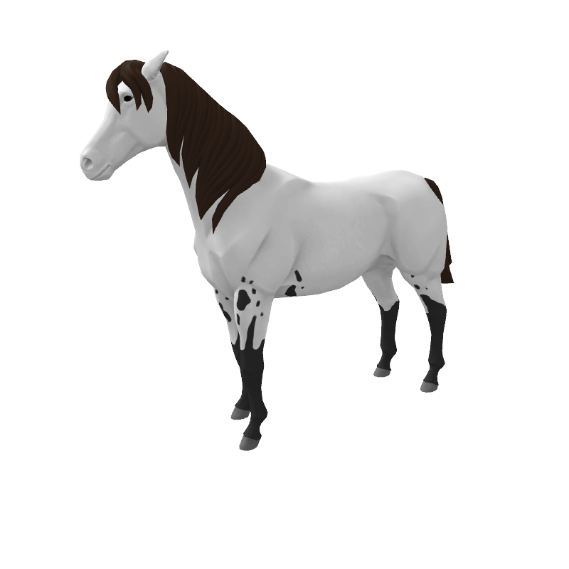 En La Ciudad De La Furia