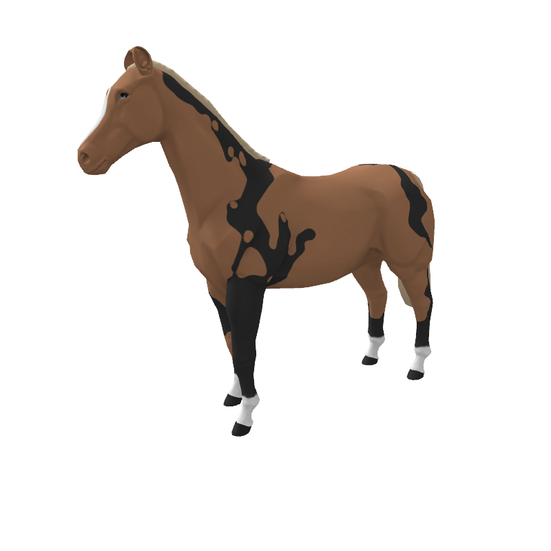 Dralwise
