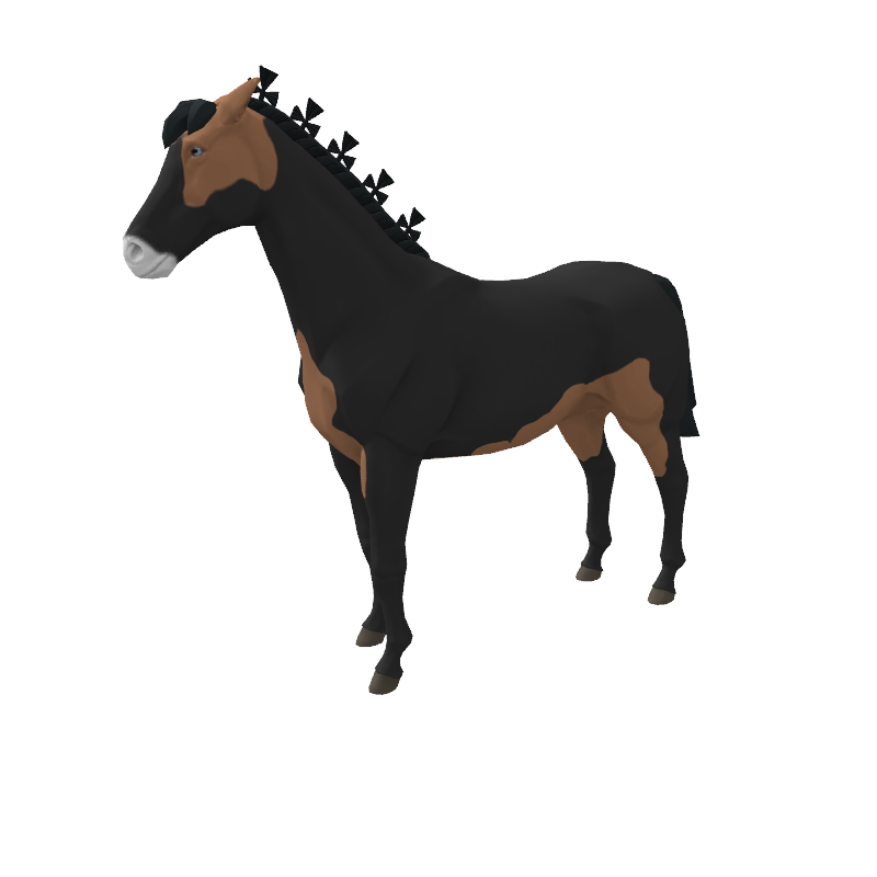 Olympian Zebra