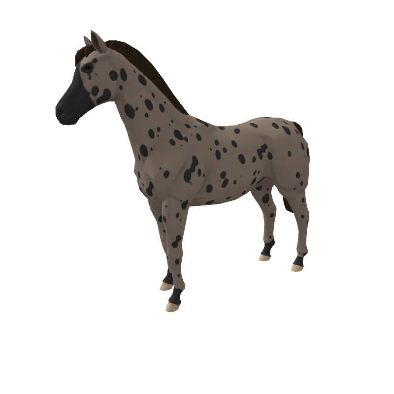 Leopard King