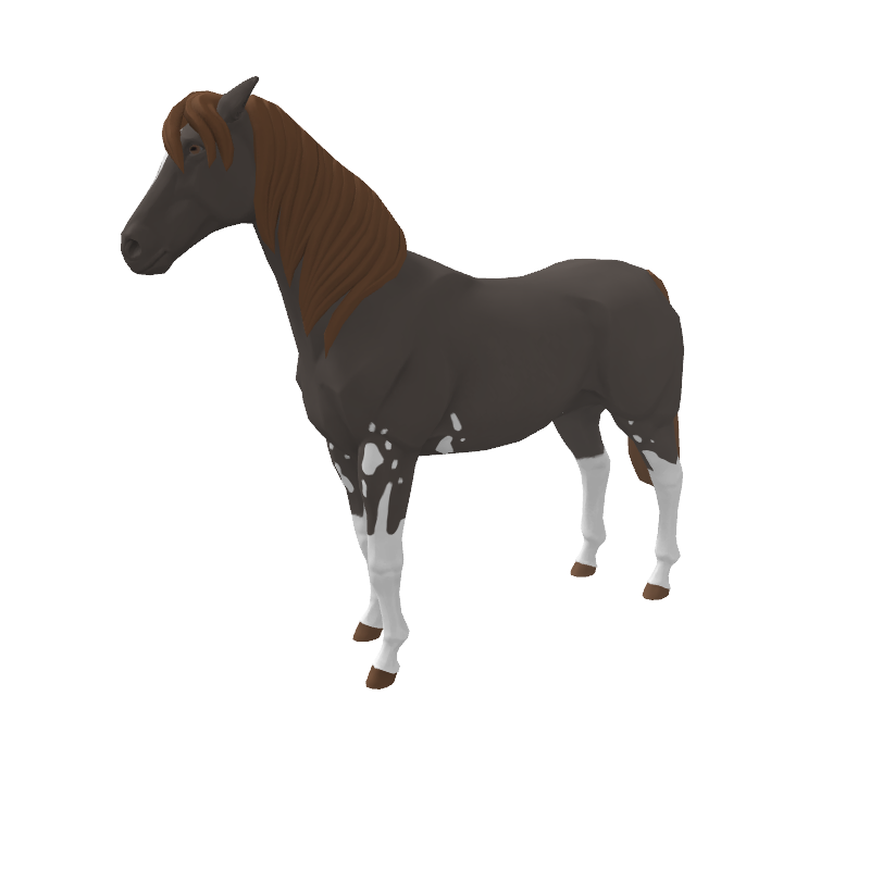 Skonda Tophap Stable