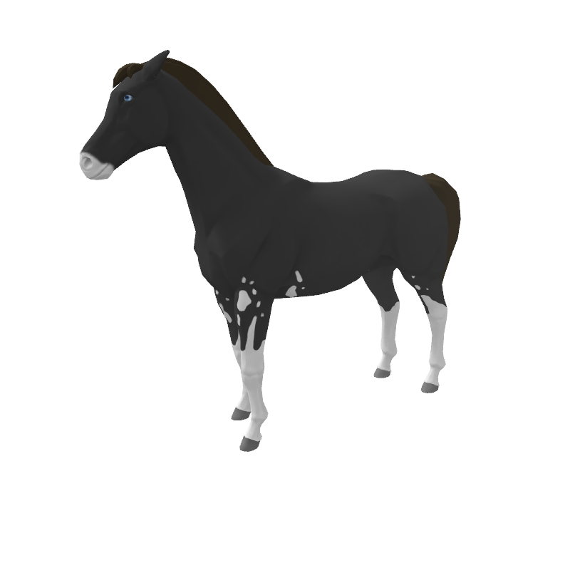 Stura Crockett