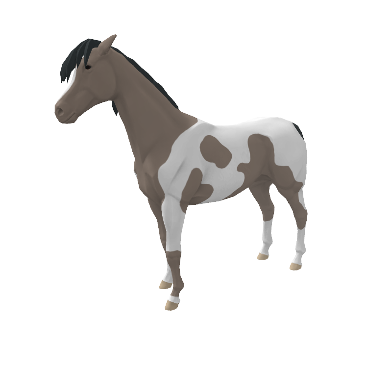 Skondeez Tophat Stable