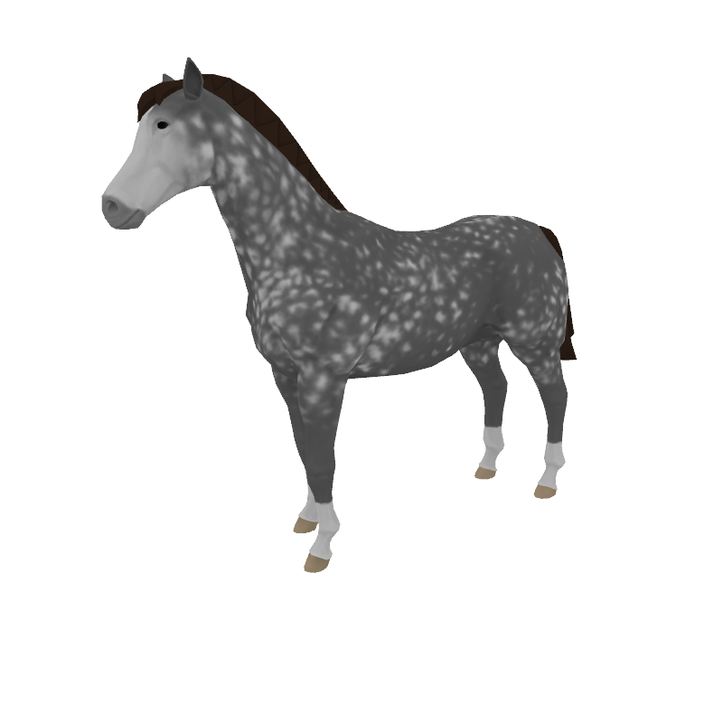 The Majestic Princess