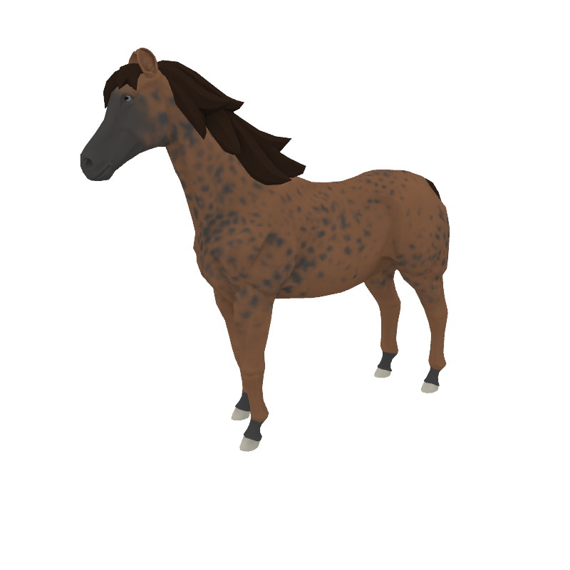 Candis Tophat Stable