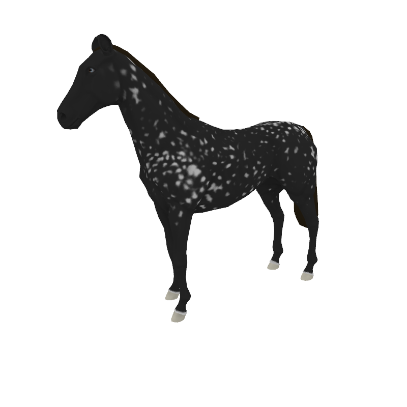 Fibonacci Appaloosa