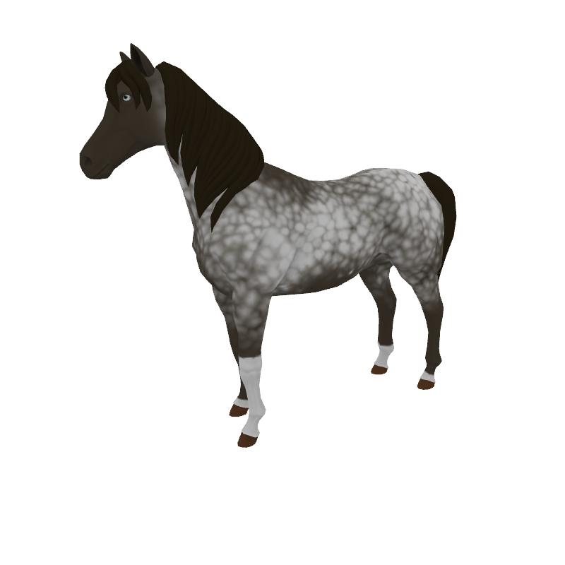 The Majestic Countess