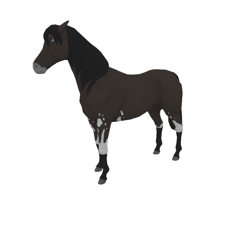 Babieca Tophat Stable