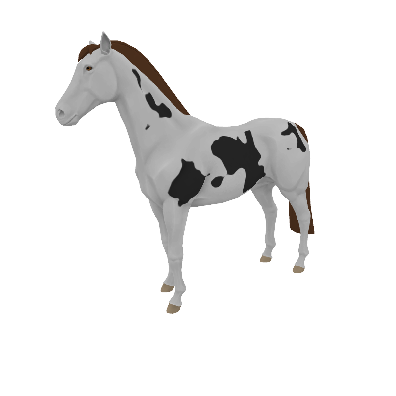 Domingo Felipe Caballo