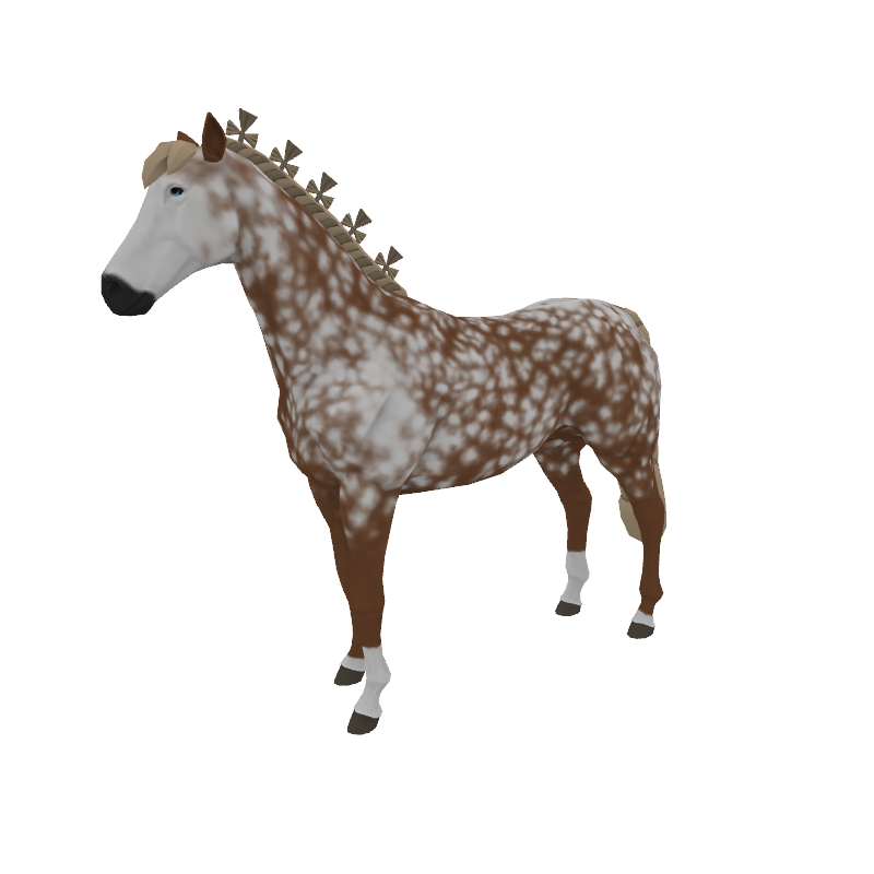 Beyond The Barricade