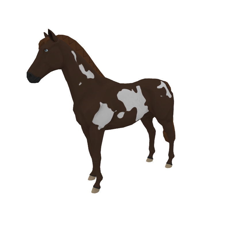 Double Round Of Crown