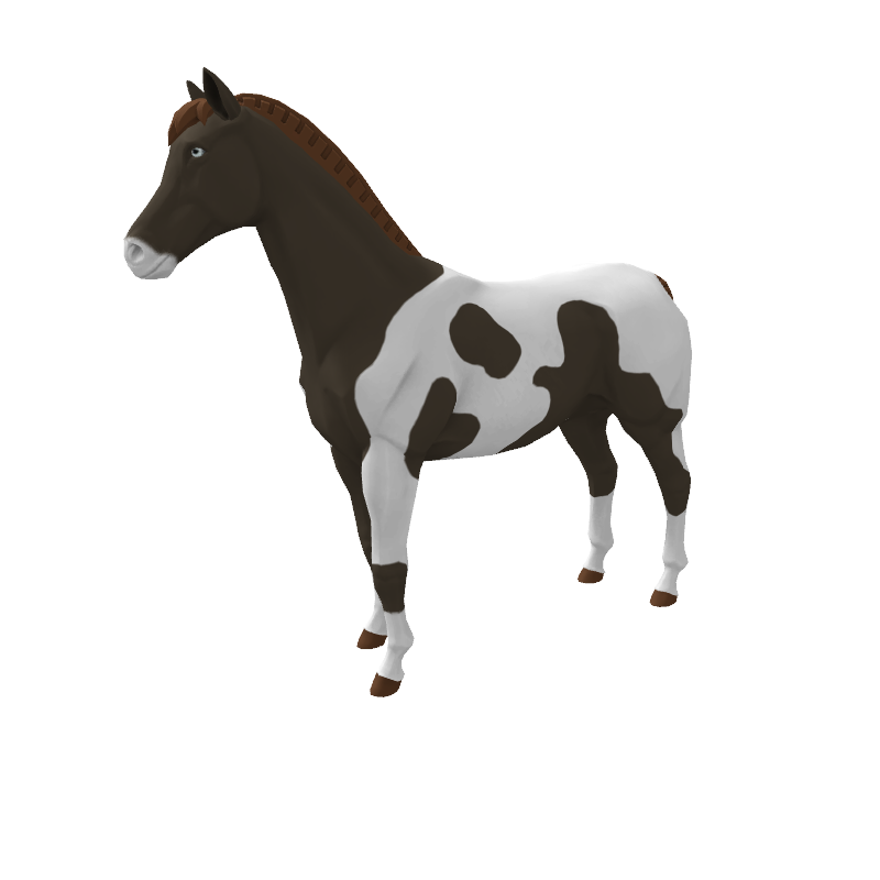 May The Horse Be With You