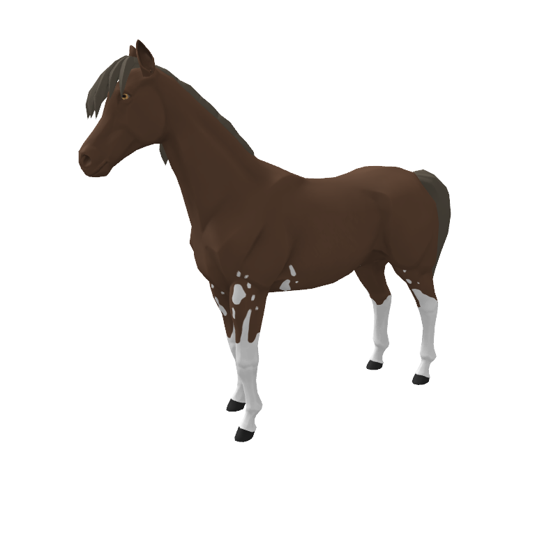 Chopper The Cockatoo