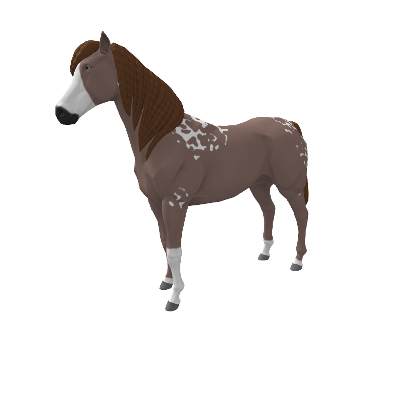 Help For Earthquake Tr