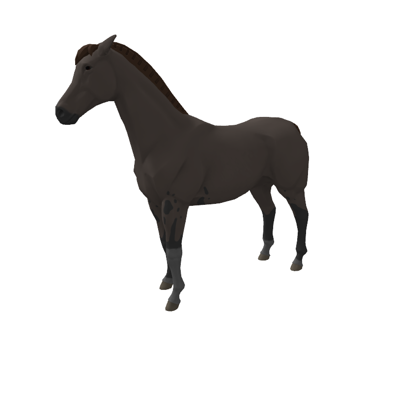 zkRace NFT Horse - Hawkcarinae