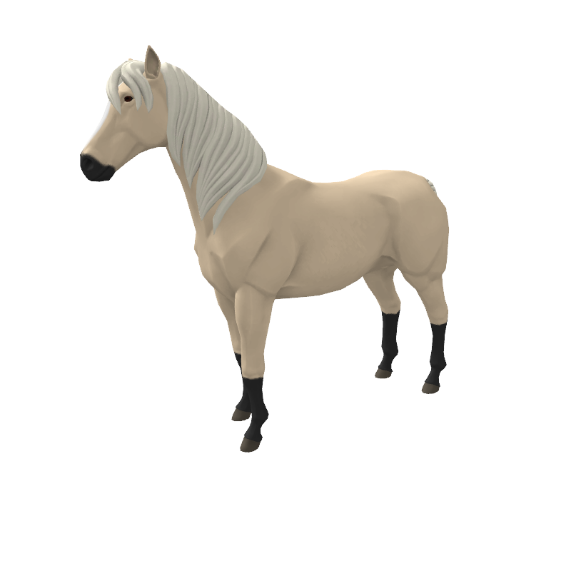 Medio Kilo De Tortilla